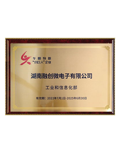 專精特新“小巨人”企業(yè)