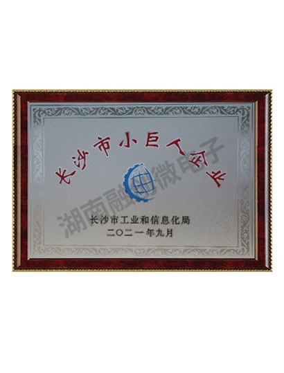 長沙市小巨人企業(yè)